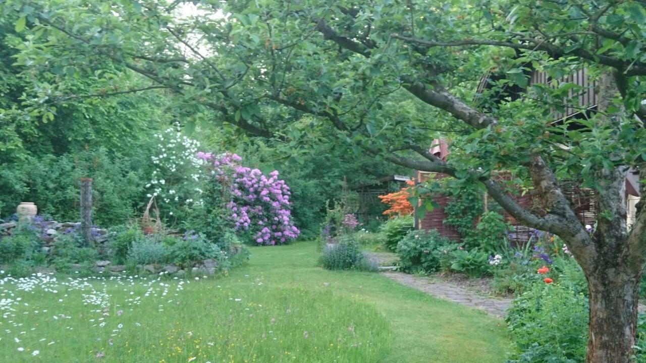 Landhaus Bernecker, Bay.W. Rinchnach 外观 照片