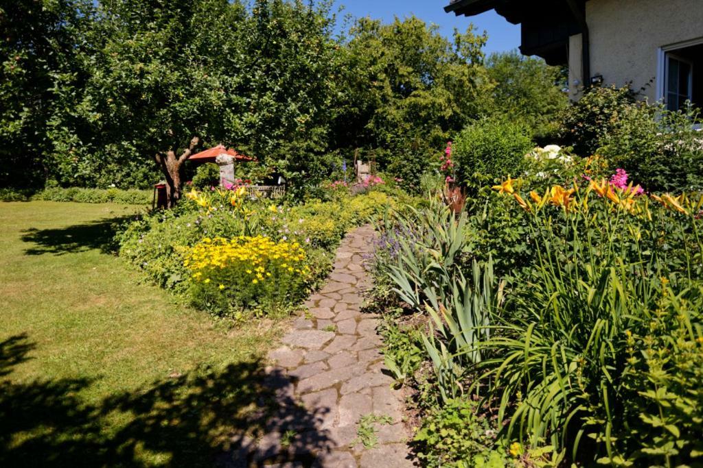 Landhaus Bernecker, Bay.W. Rinchnach 外观 照片